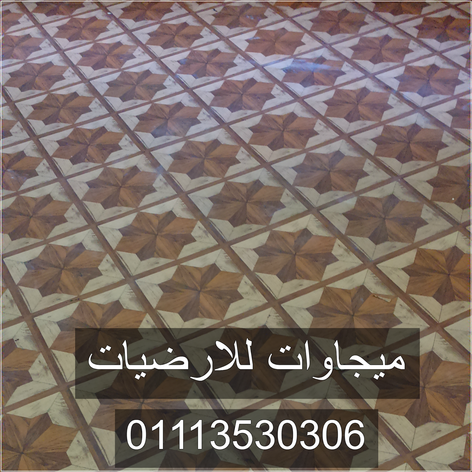 قنالتكس صيني — الشكل رقم ١ — ميجاوات للأرضيات